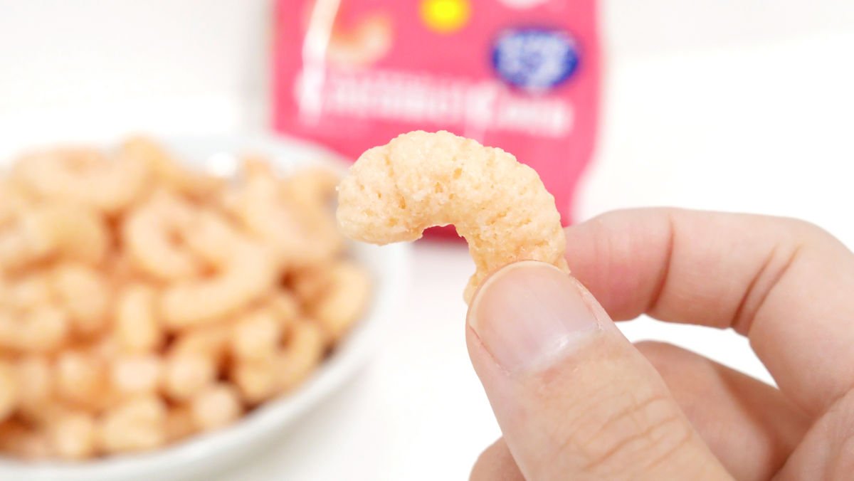 دراسة جدوى مشروع مصنع Slaxes