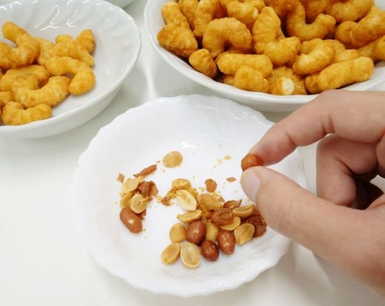 دراسة جدوى مشروع مصنع Slaxes