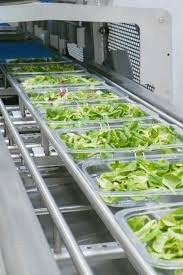 دراسة جدوى مشروع شركة تعبئة وتغليف