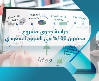 دراسة جدوى مشروع