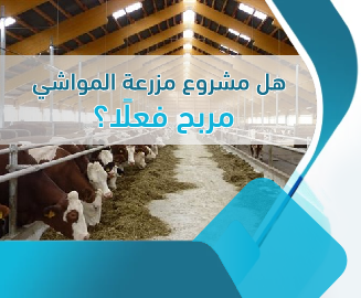 مشروع مزرعة مواشي