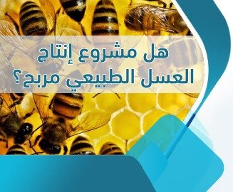 مشروع إنتاج العسل الطبيعي