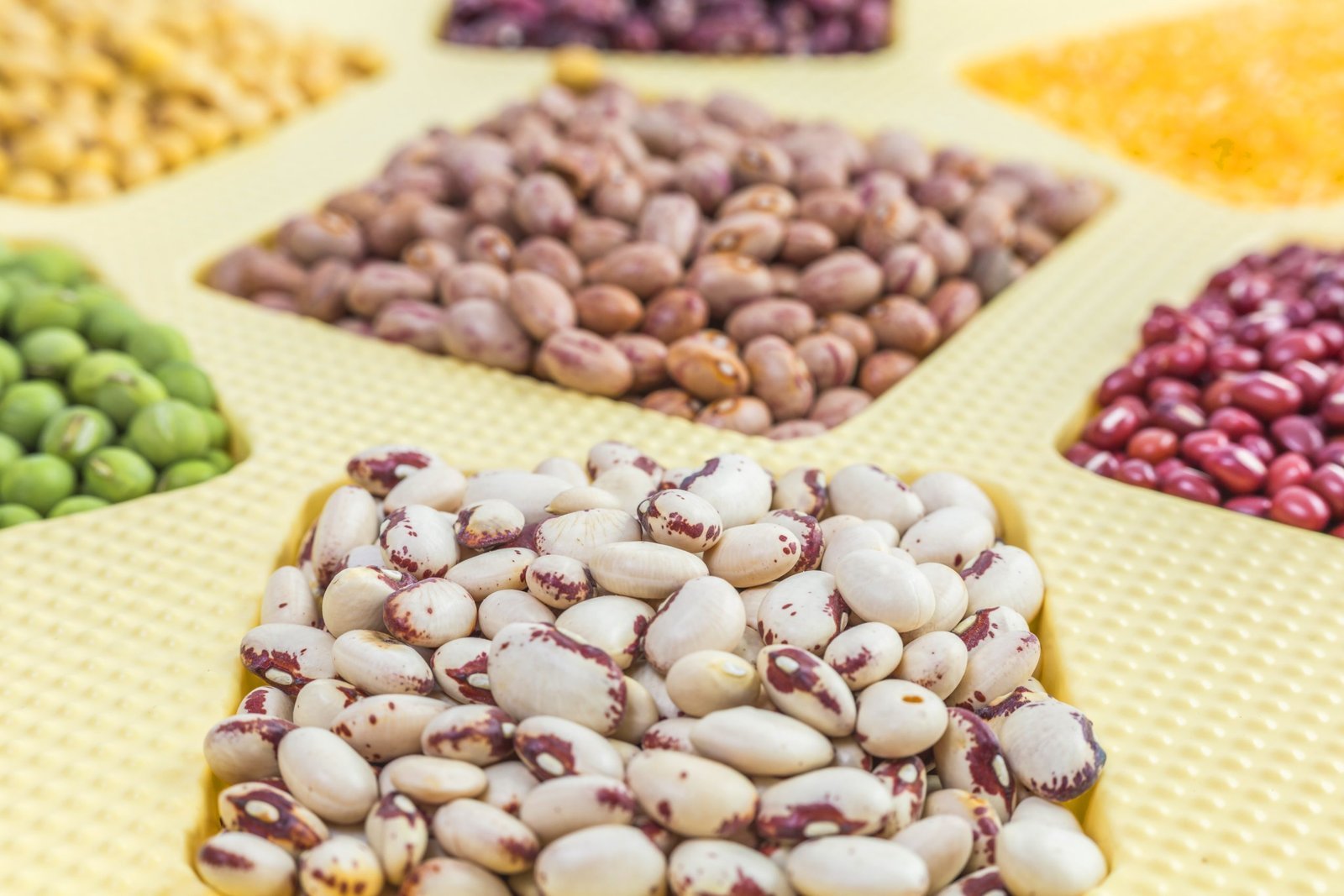 دراسة جدوى مشروع مصنع تعبئة مواد غذائية   