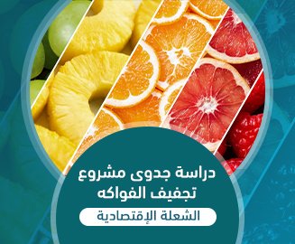 مشروع تجفيف الفواكه