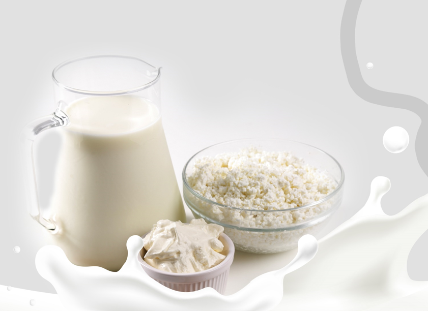 دراسة جدوى مشروع مصنع تصنيع وتعبئة قشطة وحليب بودر