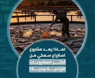 مشروع استزراع سمكي