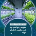 الزراعة الهوائية: مفهومها وأهميتها في تطوير الإنتاج الزراعي