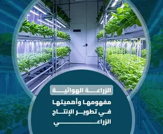 الزراعة الهوائية